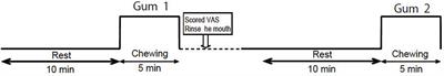 Emotional modulation of cortical activity during gum chewing: A functional near-infrared spectroscopy study